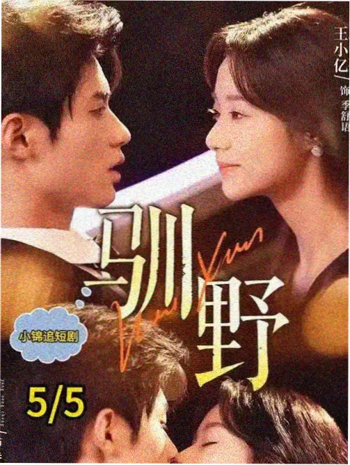 编辑精选剧集海报